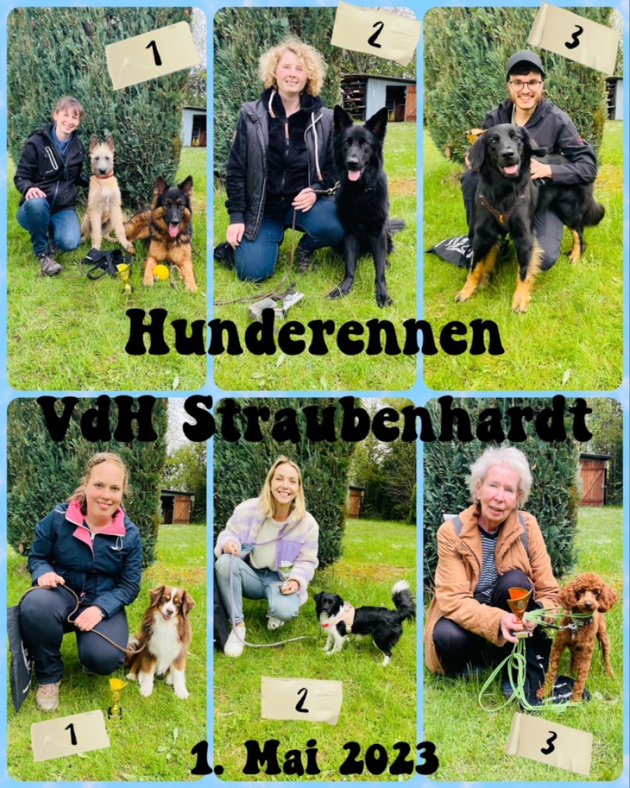 Hunderennen_Sieger