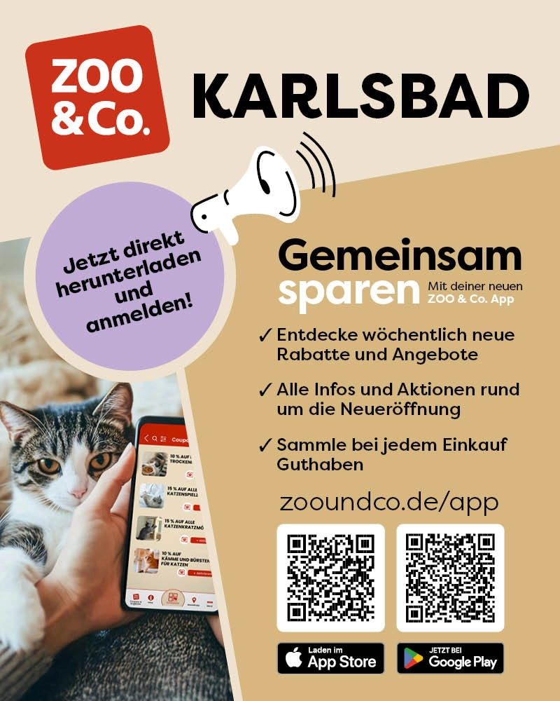 Zoo&Co